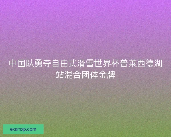中国队勇夺自由式滑雪世界杯普莱西德湖站混合团体金牌